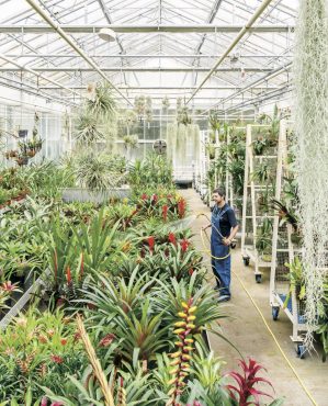 ORYX
Qatar Airways inflight magazine

Discover the Tropical Nursery at the Royal Botanic Gardens, Kew, where some of the world’s rarest plants are cultivated.